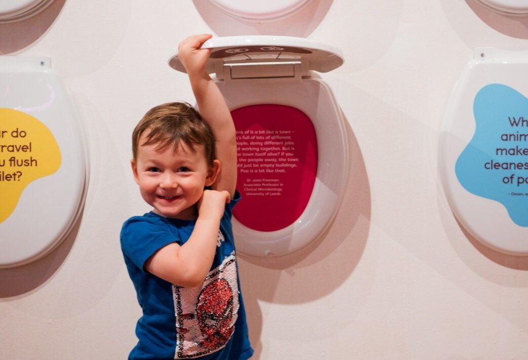 Ancient turd and fart facts feature in cheeky new museum exhibit on poo
